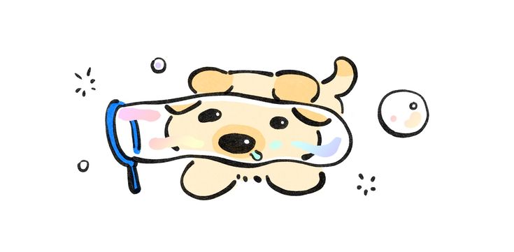 imagen de perro miado.